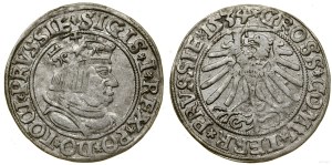 Poland, penny, 1534, Torun