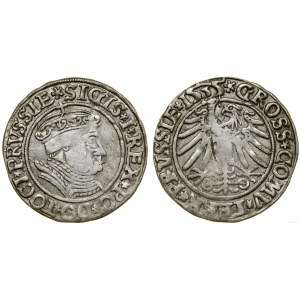 Polska, grosz, 1535, Toruń