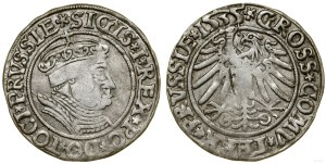 Poland, penny, 1535, Torun
