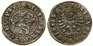 Poland, sheląg, 1529, Toruń