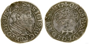 Poland, penny, 1557, Gdańsk
