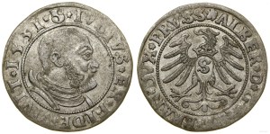 Ducal Prussia (1525-1657), penny, 1531, Königsberg