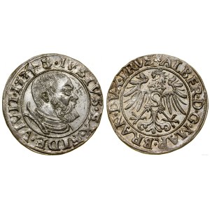 Prusy Książęce (1525-1657), grosz, 1534, Królewiec