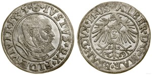 Ducal Prussia (1525-1657), penny, 1535, Königsberg
