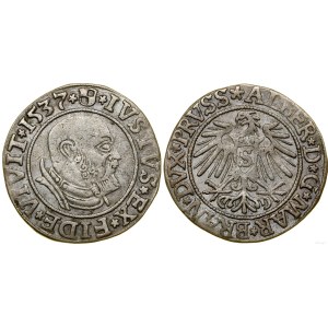 Prusy Książęce (1525-1657), grosz, 1537, Królewiec
