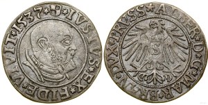Ducal Prussia (1525-1657), penny, 1537, Königsberg