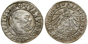 Ducal Prussia (1525-1657), penny, 1538, Königsberg