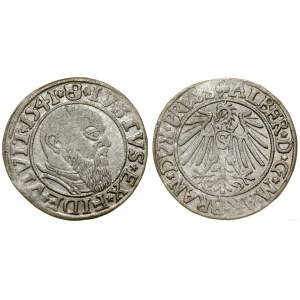 Prusy Książęce (1525-1657), grosz, 1541, Królewiec