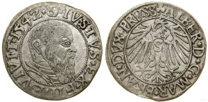 Ducal Prussia (1525-1657), penny, 1542, Königsberg