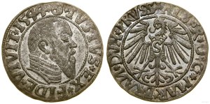 Ducal Prussia (1525-1657), penny, 1544, Königsberg