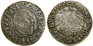 Ducal Prussia (1525-1657), penny, 1545, Königsberg
