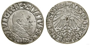 Ducal Prussia (1525-1657), penny, 1546, Königsberg