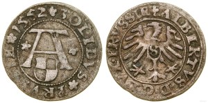 Ducal Prussia (1525-1657), shellac, 1552, Königsberg