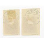 Lowicz, stamps for 10 and 40 f. on clippings with local printing. Warranty (210)