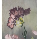 FEDERICO DE CURTIS, Flowers - F. De Curtis