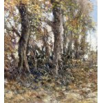 Augusto Radice, Forest landscape - Augusto Radice