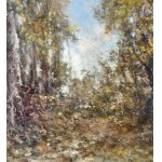 Augusto Radice, Forest landscape - Augusto Radice