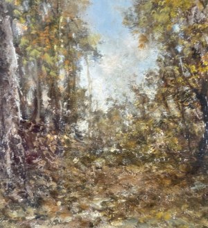 Augusto Radice, Forest landscape - Augusto Radice