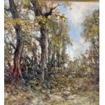 Augusto Radice, Forest landscape - Augusto Radice