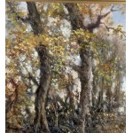 Augusto Radice, Forest landscape - Augusto Radice