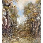 Augusto Radice, Forest landscape - Augusto Radice