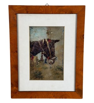 ANONIMO, Horse's head