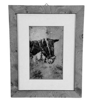 ANONIMO, Horse's head