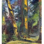 UNIDENTIFIED ARTIST, Wooded Landscape