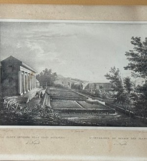 ANONIMO, Naples (the interior part of the Botanical Garden) and View of Vietri