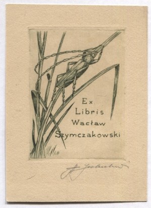 An etching by S. Jakubowski for W. Szymczakowski in an etching from 1941.