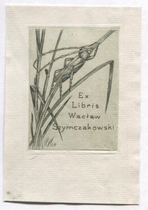 An etching by S. Jakubowski for W. Szymczakowski in an etching from 1941.