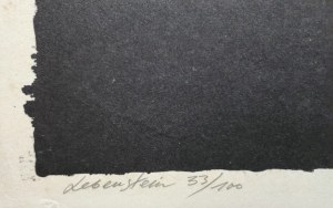 Jan Lebenstein, 