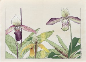 Tanigami Konan (1879-1928), Orchid sabot, published by Unsodo, Kyoto/Japan, 1917.
