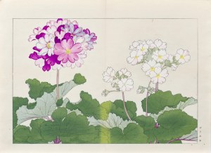 Tanigami Konan (1879-1928), Primrose, published by Unsodo, Kyoto/Japan, 1917.