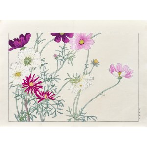 Tanigami Konan (1879-1928), Kosmos pierzasty, wyd. Unsodo, Kioto/Japonia, 1917 r.