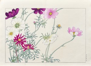Tanigami Konan (1879-1928), Feathered Cosmos, published by Unsodo, Kyoto/Japan, 1917.