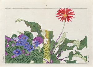 Tanigami Konan (1879-1928), Violet and gerbera, published by Unsodo, Kyoto/Japan, 1917.