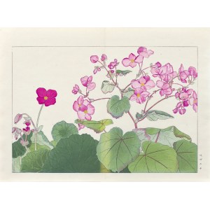 Tanigami Konan (1879-1928), Begonia, wyd. Unsodo, Kioto/Japonia, 1917 r.