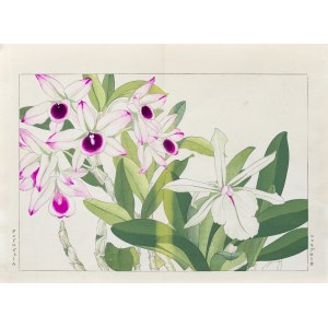 Tanigami Konan (1879-1928), Dendrobium i laelia, wyd. Unsodo, Kioto/Japonia, 1917 r.