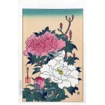 查看相似的