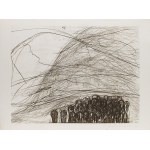 Magdalena Abakanowicz (1930 Falenty pod Warszawą - 2017 Warszawa), Teka Katarsis, 1985