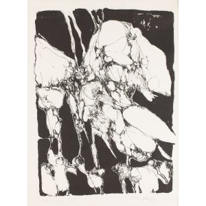 Barbara Zbrożyna (1923 Lublin - 1995 Warszawa), Bez tytułu, 1980