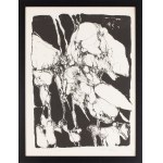 Barbara Zbrożyna (1923 Lublin - 1995 Warszawa), Bez tytułu, 1980