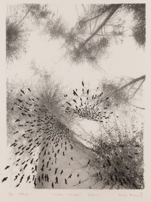 Zofia Broniek (1938 - 2018), 