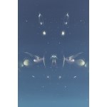 Paulina Rega (ur. 1994), Cygnus 2, 2022