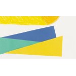 Alicja Bielawska (ur. 1980, Warszawa), Solitude, 2014