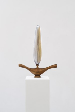 Martyna Pajak (b. 1991), 