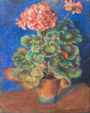 Unknown ARTIST, Pelargonium in a pot; first half of 20th century (?)