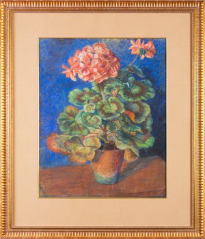 Unknown ARTIST, Pelargonium in a pot; first half of 20th century (?)
