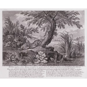 Johann Elias Ridinger (1698-1767), Bobry
